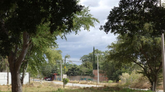 Peri-urban landscape. This scene from San Antonio Arrazola reflects a combination of elements found in many peri-urban zones in Oaxaca, with a mosaic of village clusters, suburban houses, farm fields, pastures, meadows, and open scrubland. Sinewy asphalt roads give way on either side to gravel and dirt streets, and one neighbor's concrete block wall butts up against another's wooden fence. Electric and phone wires follow main roads to distribute services, but unevenly. While a few of the trees might be remnants of the pine-oak/montane forest ecosystem, most have been planted by local families as part of their agricultural and pastoral operations. It is this woolly, patchy, uneven, imbricated quality that best characterizes the peri-urban landscapes of Oaxaca. Middle distance view of the comenents of the peri-urban landscape with roads, phone lines, trees and grass.