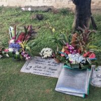 Bouquets of flowers are placed on graves, in front of a tree.